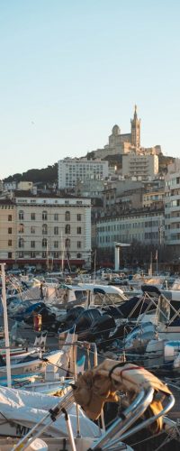 pexels-jo-kassis-11690115