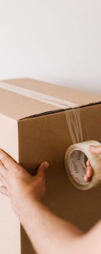 pexels-karolina-grabowska-4498136