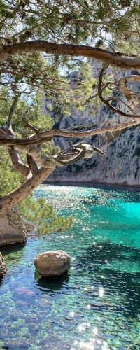 t-SYt7-15C2KA-unsplash